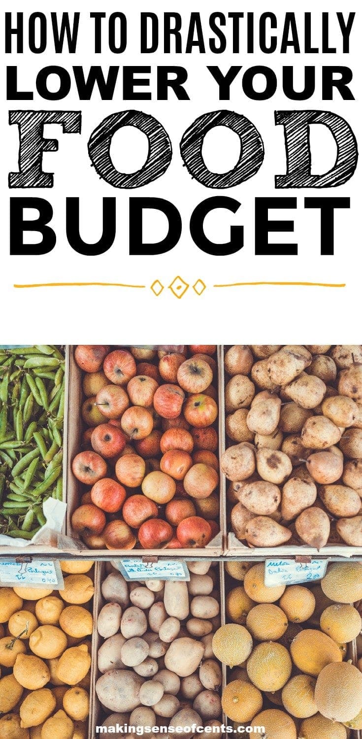 February's Food Budget Check In - We Failed But I'm Happy - Making