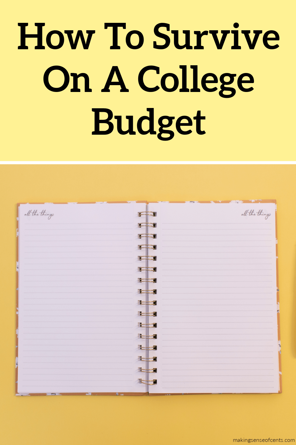 learning-how-to-survive-on-a-college-budget