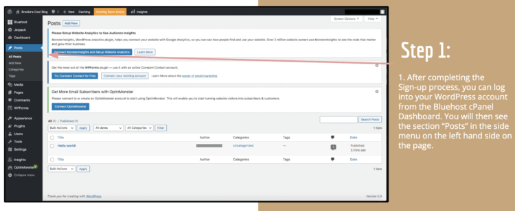 How To Publish a Blog Post on WordPress Easily