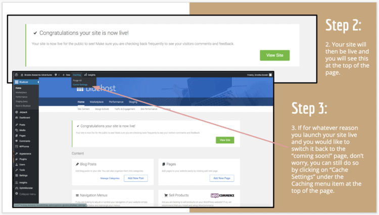 How To Launch Your Website in WordPress
