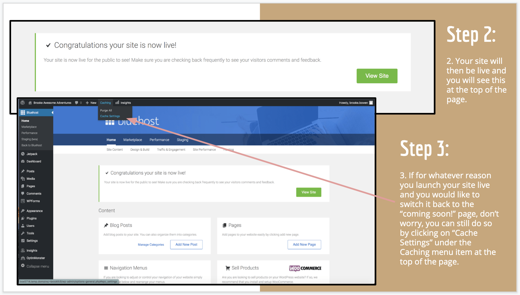 How To Launch Your Website in WordPress