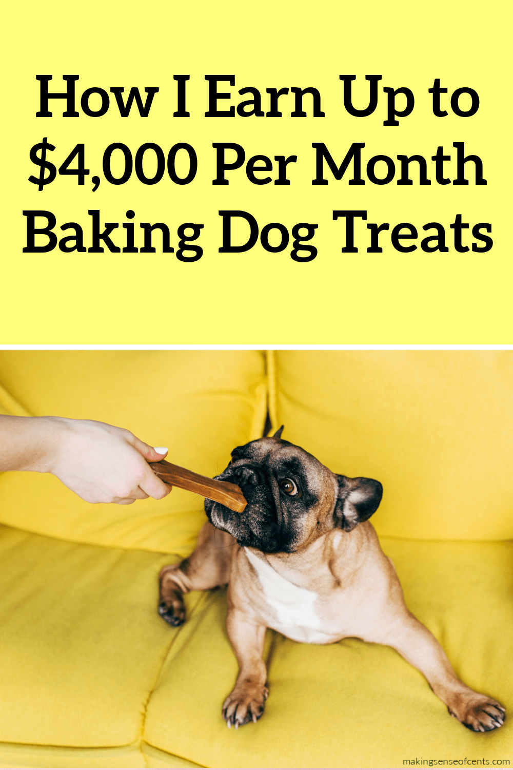 How To Start a Dog Treat Business At Home How I Make 4,000 Monthly