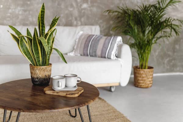 15 Best Places To Sell Used Furniture For Cash