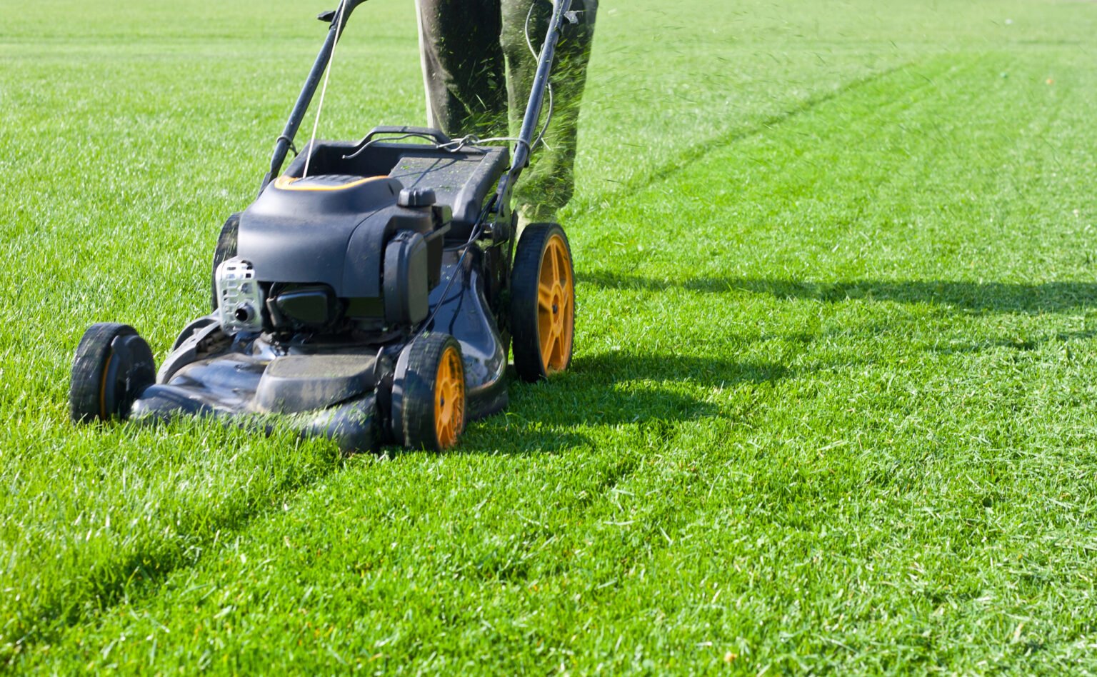 19 Best Jobs for 15 Year Olds To Make Money