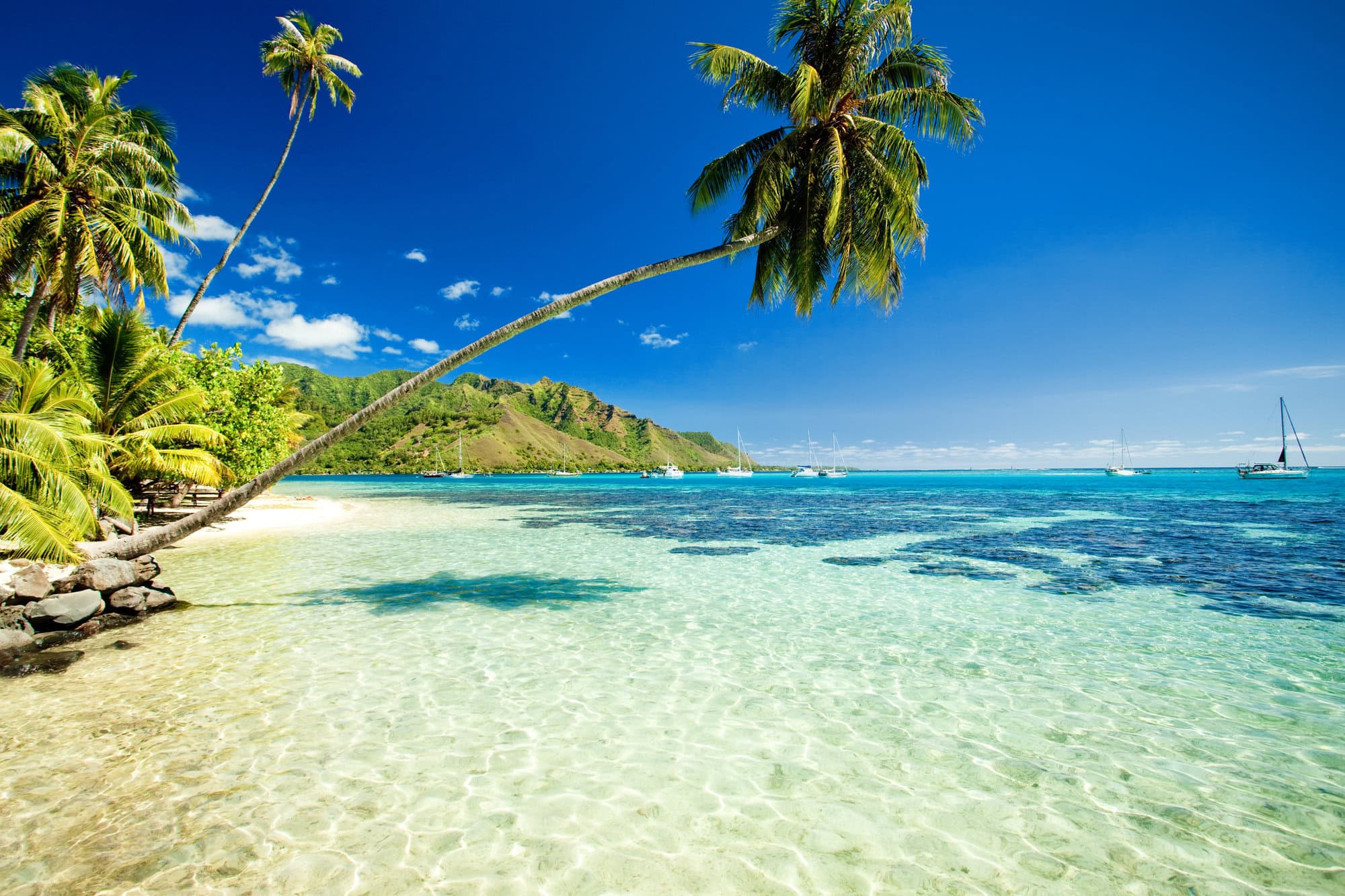 18 Best Cruise Ship Jobs To Travel the World and Make Money