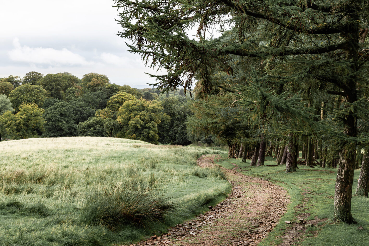 100 New Year Resolution Ideas for 2026