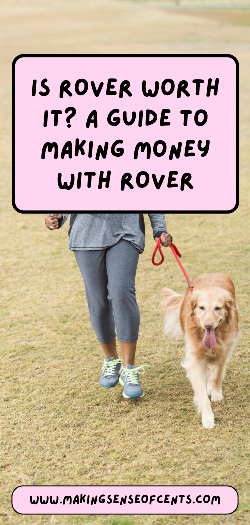 Is Rover Worth It? A Guide to Making Money with Rover – financemadeeasy.org