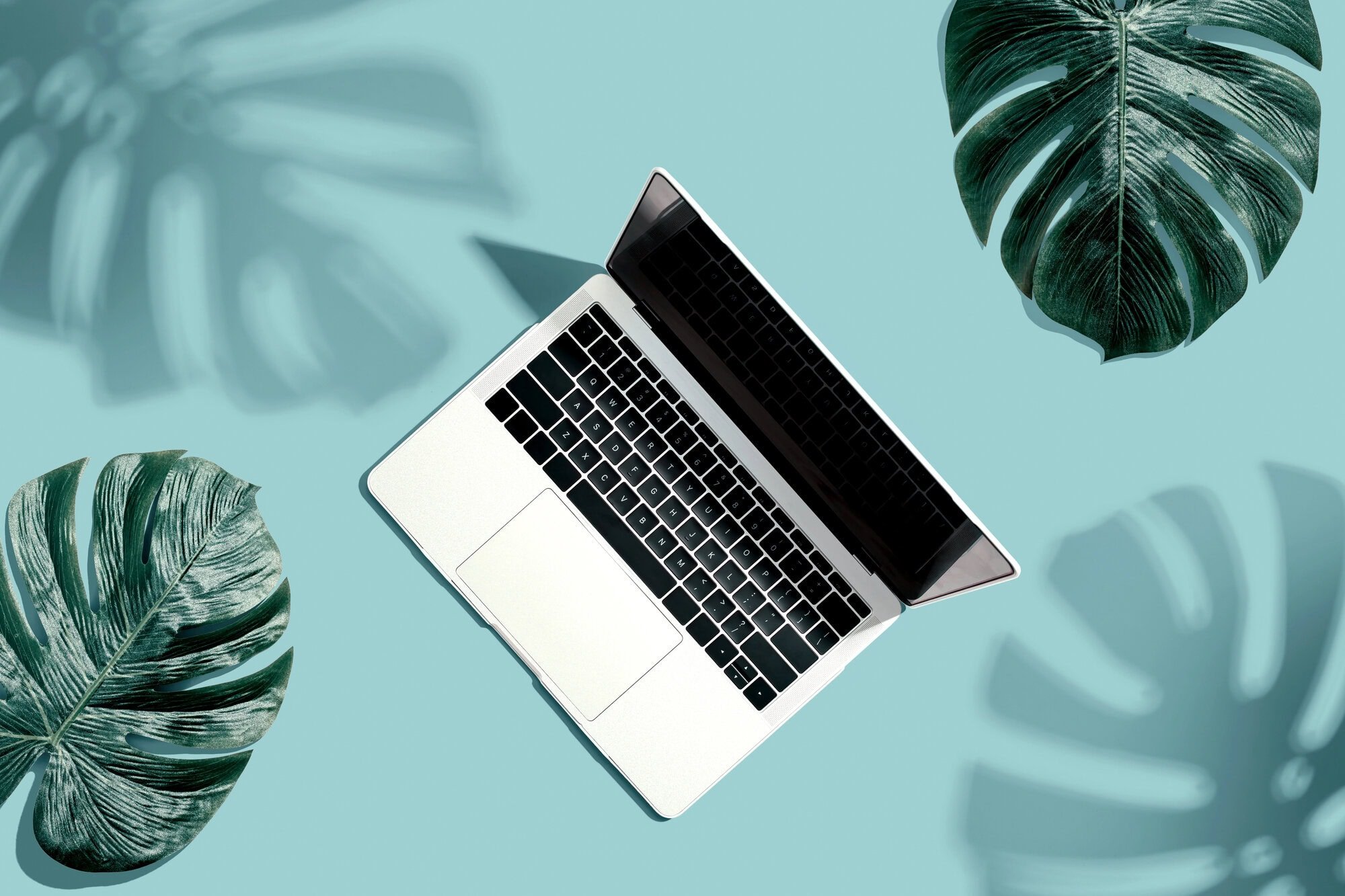 Which print is a good platform?