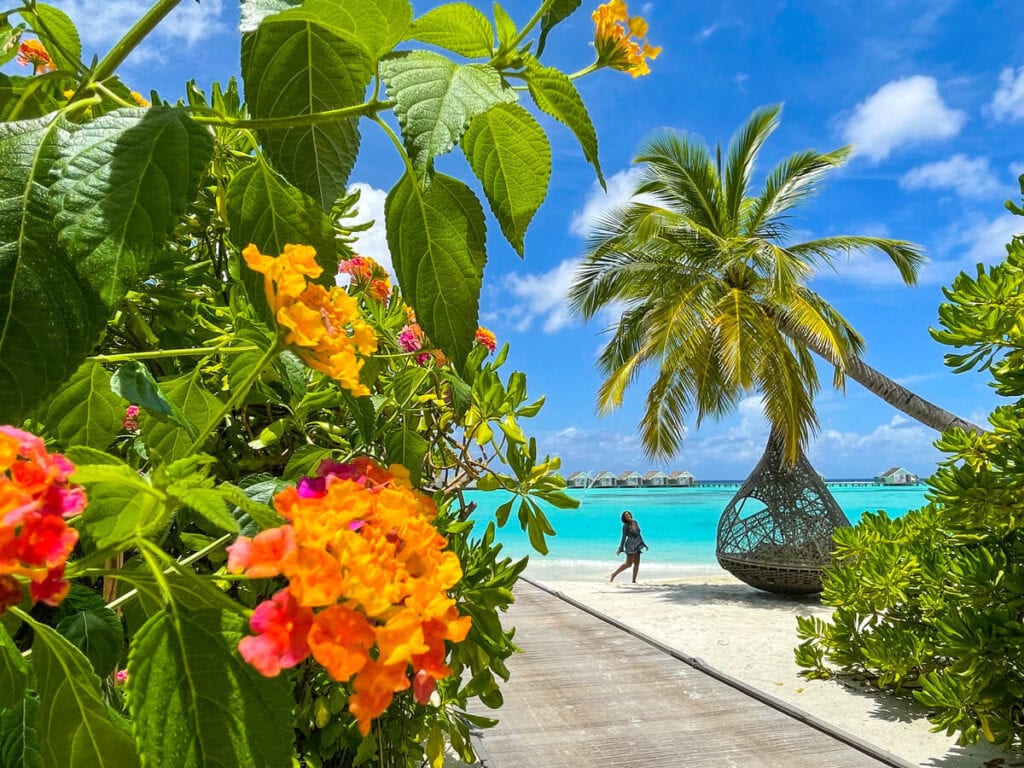 Maldives LUX South Ari Atoll press trip